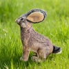 Squeaky Wild Rabbit Pet Chew Toy: Soft Durable Fabric, Safe Teething, Odorless, Cat & Dog Friendly