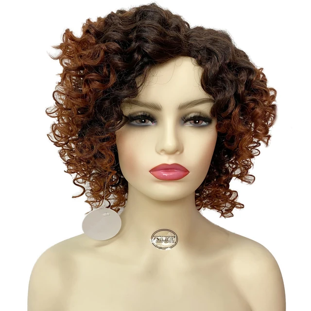 GNIMEGIL Female Afro Kinky Curly Wig Synthetic Fiber Colly Curls Wigs for Black Women Fashion Dark Brown Hair Replacement Wig Ombre Brown