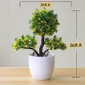 Yingkesong yellow