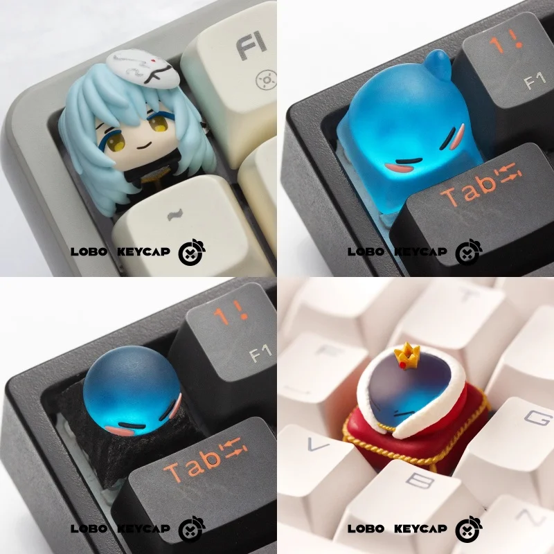 dsc-products