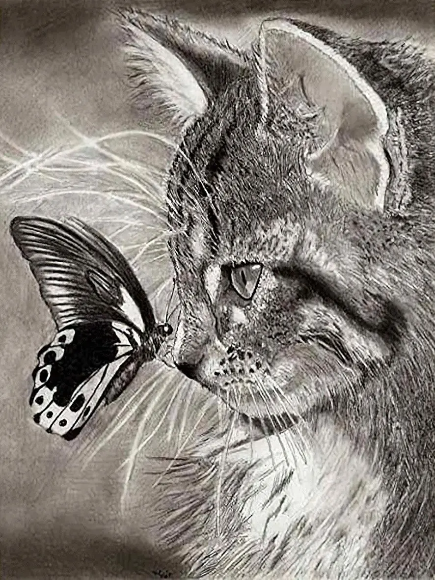 Pintura De Diamante 5d Diy De Animal Gato, Bordado De Diamant De Cristal Spuare Y Cristal