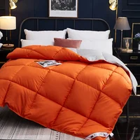 Winter Quilted Quilts Blanket 95% White Goose Down Soft Goose Down Warm Winter Duvet 거위털 이불 구스이불 거위Size King Twin Cover 6