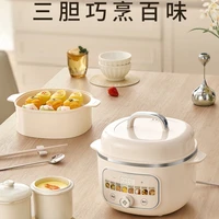 Marmite électrique pour ragoût d'eau, marmite domestique pour aliments pour bébés, automatique, nouvelle machine de cuisson à vapeur pour soupe et bouillie 2