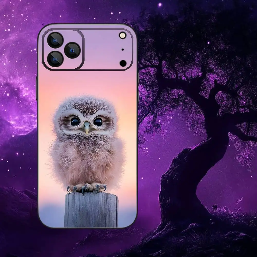 Adorable Owl Black Soft Phone Case Box