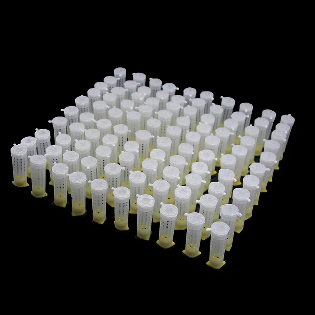 100Db Méhészeti Termékek Védelme A Hajhenger Ketrec Borítója Lezárt Queen Tenyésztő Cellákhoz Fiatal Méh Férgek Kupa Fogaskerék -Szűz - Image 4