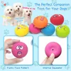 6pc Latex Dog Squeaky Toys Soft Smiley Face Dog Toys Chewing Squeaky Toy Fetch Play Balls for Puppy Small Pets Dog Accessories 5