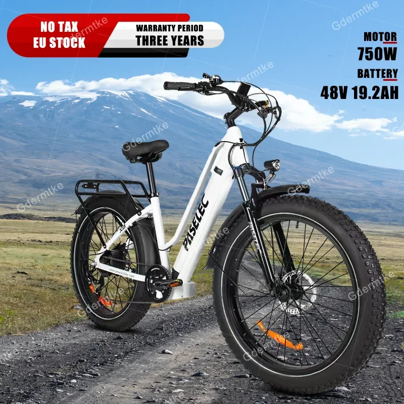 City Electric Bicycle 750W Bafang Motor 48 V19.2Ah Batteria Nascosta Freno Idraulico Ebike 7 Velocità 26 Pollici Fat Tire Bici Elettrica