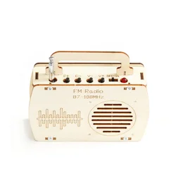 DIY FM Radio STEM Kit - Educational Science Toy & Fun Physics Project (Radio)