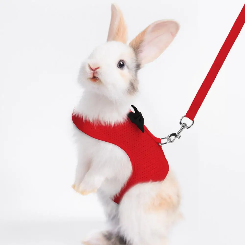 Rabbit Traction Harness Stylish Bow Decoration Pet Harness Leash for Small Pets Outdoor Walking for Rabbit Outdoor