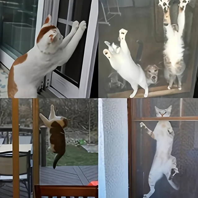 Home DIY Mosquito Net, Used To Prevent Flies, Mosquitoes, Cats and Dogs From Flying Out of Windows.Window Screen Mesh 6