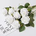 3pc white