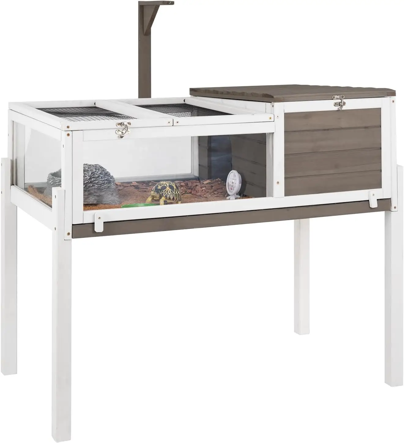 tortoise habitat