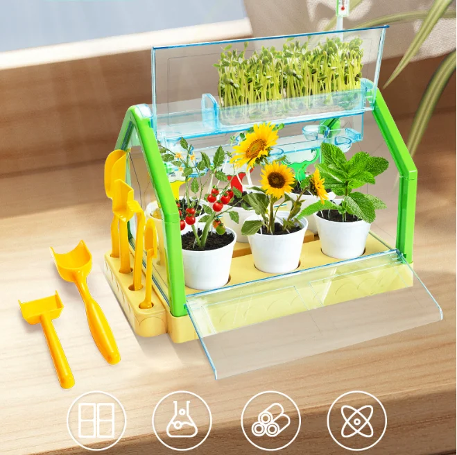 Activity Plant Children's Planting Homework Experience the Fun