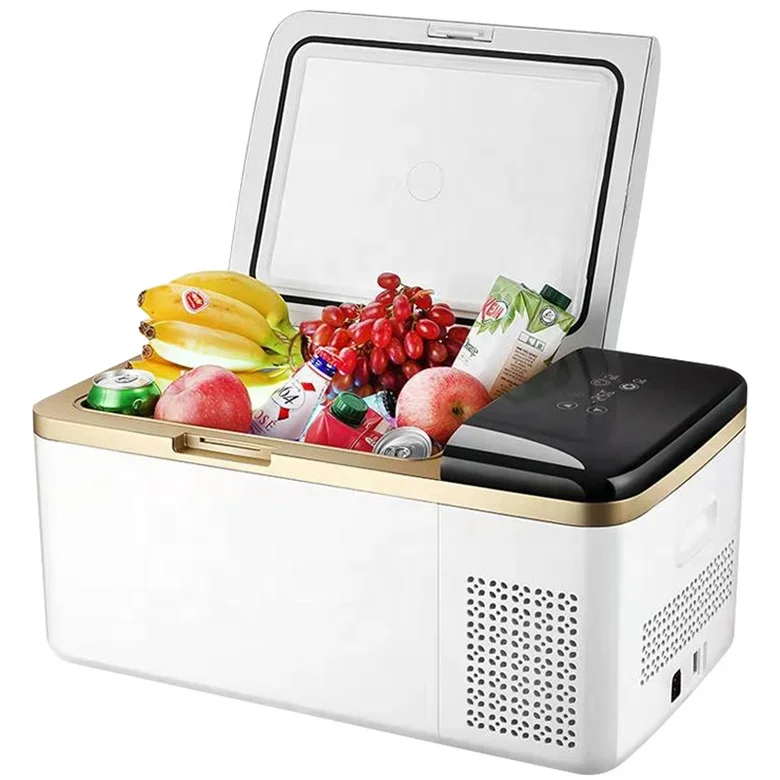 Fast Cooling 12v 24v Portable Freezer Camping Fridge Cooler Refrigerated Trucks Car 4