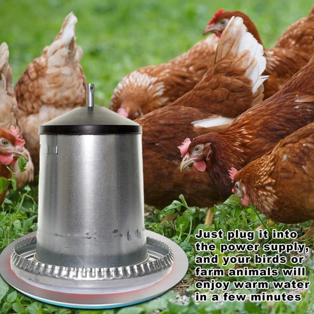 Battery Operated Water Heater Chickens | Chicken Water Heater Battery  Powered - Water - Aliexpress