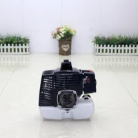 48 Gasoline Engine Two Stroke Easy Start Suitable for Ground Drill Earth Auger Scooter ATV 1