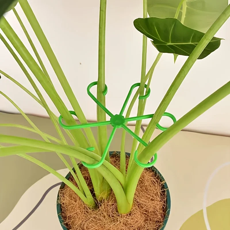 Plant anti-toppling steun - afbeelding 8