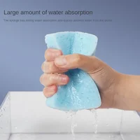 Watercolor Painting Sponge Boxed Special Water Chalk Strong Water Absorption Sponge Tool Art Supplies 1 Pc for Kids Students 2
