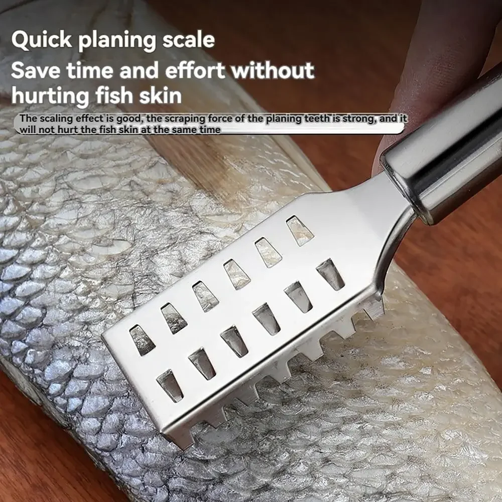 S47a0df3b9dd5447c92bbf35e797ac8af2.jpg?width=1000&height=1000&hash=2000