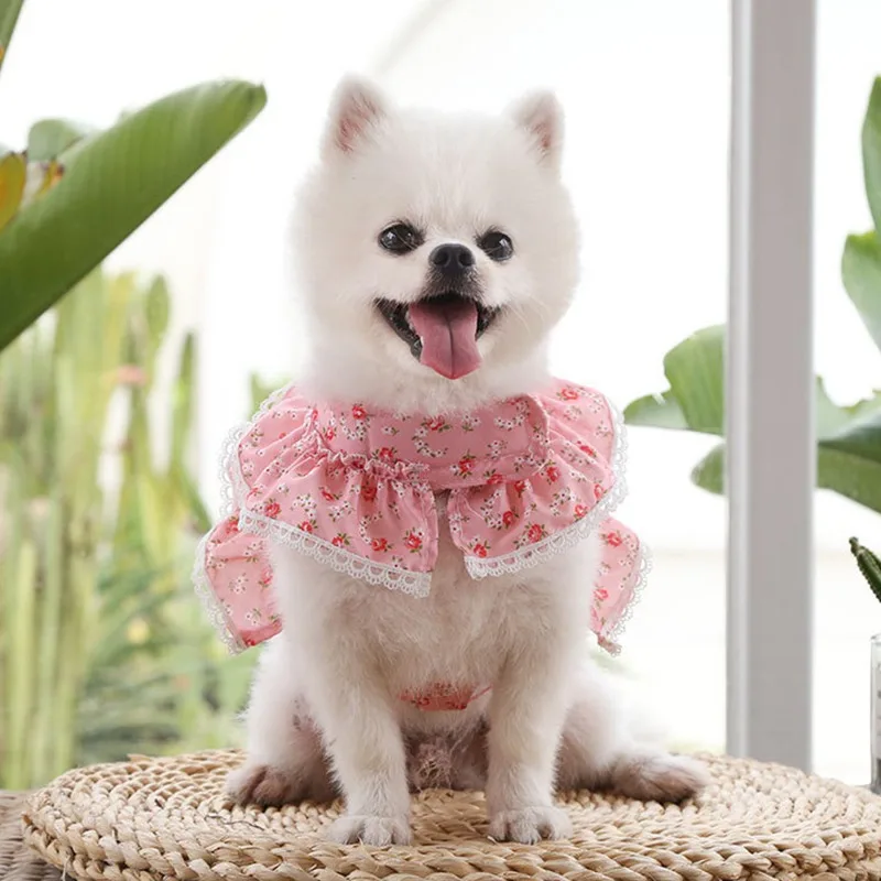 Pet Harness Leash Set Daisy Floral For Small Dogs Cats