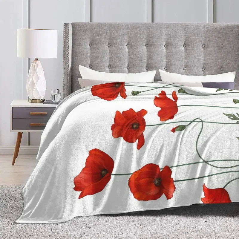 �ö��� ���ο� ���  �ٱ� ���, �ε巯�� ħ��, ������ ���� ���, ħ�� �Ž� ��ũ�� ���� Ȩ ����