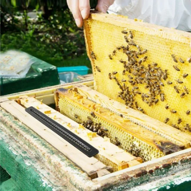 10 Darabos Fekete Műanyag Bogár Csapdák Farm Méhész Eszközök Kis Méh Kaptár Blaster Atka Kártevőirtó Kellékek - Image 6