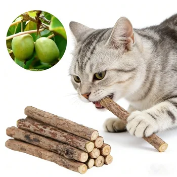Bastoncini da Masticare alla Catnip 20 Pezzi, Giocattoli Naturali per Gatti - per la Pulizia dei Denti e l'Intrattenimento dei Gattini
