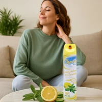 Charm Room Fragrance Air Freshener 240ML Lemon Verbena and Cucumber Scent, Long-Lasting Fresh Aroma for Home and Office