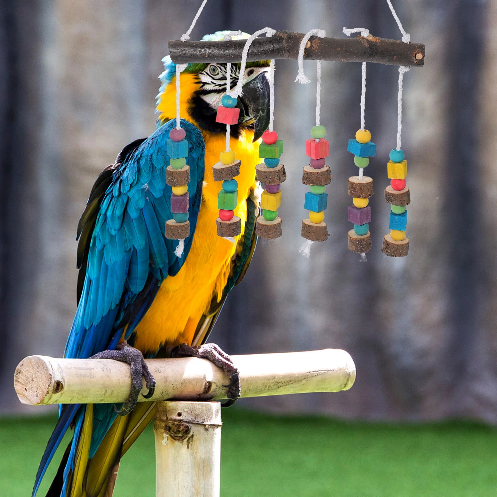 

Parrot Teething Toy Accessories for Bird Cages Funny Parrots Chewing Hanging Toys Molar Accessory Parakeet Wooden