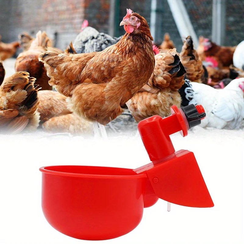 Poultry Water Dispenser 3