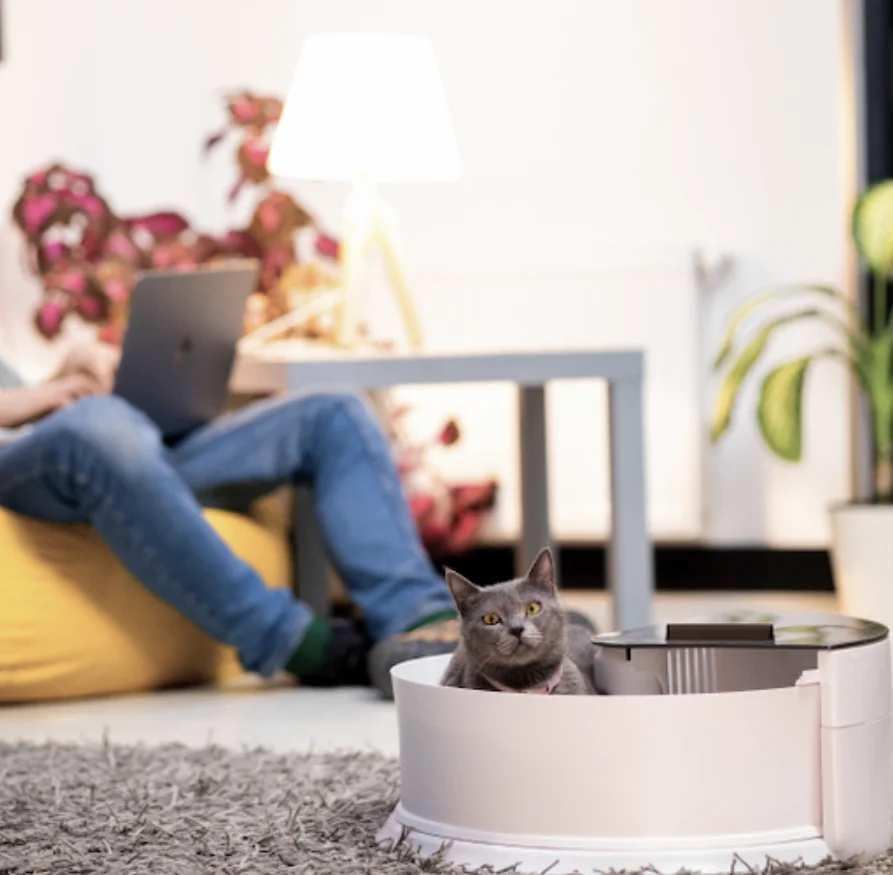 

Самоочищающийся горшок для кошек, не собирающийся автоматический кошачий горшок с удалением запаха, большое пространство для нескольких к...