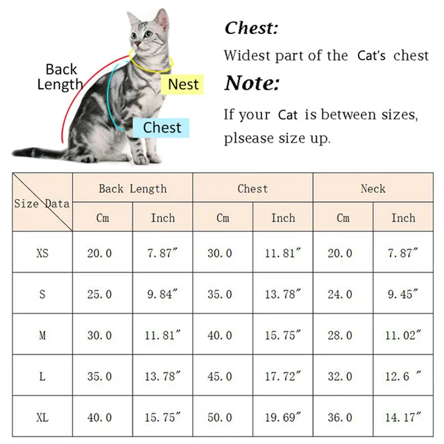 Plush Cat Dog Hoodies Thicken Pet Sweaters Autumn Winter Cat Puppy Clothes for Small Dogs Cats Kitten Pullovers Sphynx Clothing 2