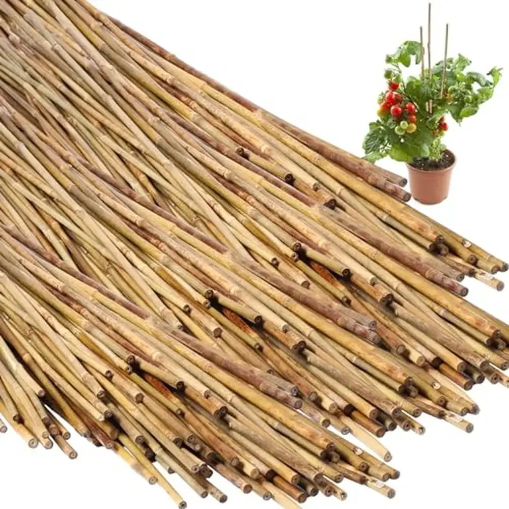 100 Pcs Bamboo Plant Support Stakes Tomato Bean Flowers Trees Indoor Outdoor Garden Sticks Reliable Durable Quality Easy