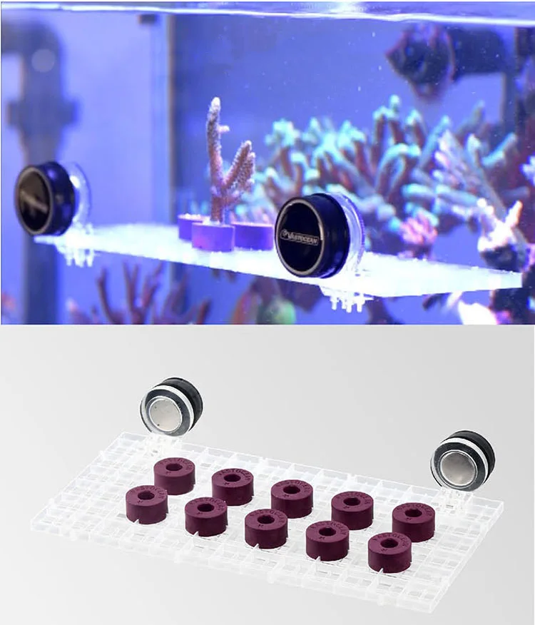 Viola Corallo Rotto Ramo Base Plastica Propagazione Lps Sps Piastra Universale Forte Griglia Magnetica