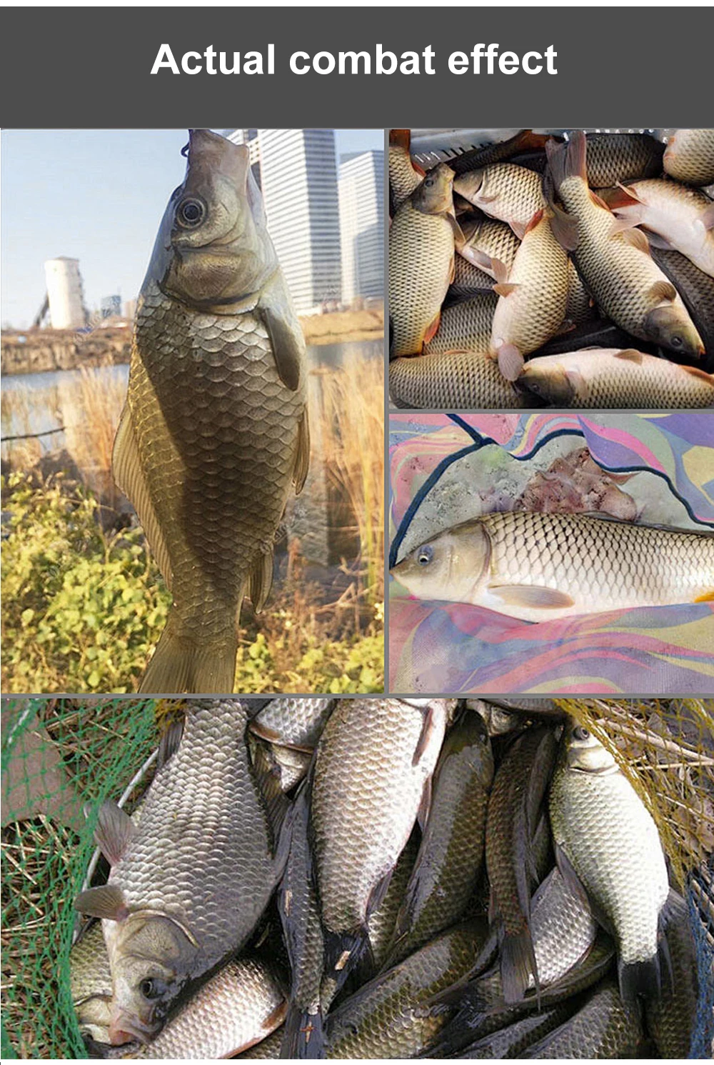 Karpfen Angelhaken 10 TEILE/LOS Pinpoint Klaue Haken PTFE Beschichtung High Carbon Edelstahl Eyed Fisch scharfe Haken für Karpfen Angeln – Detail 7