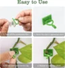 Invisible Plant Support Clips for Climbing Orchid Flower Ties Tomato Vine Plastic Garden Self-Adhesive Wall Fixture Binding Hook 2