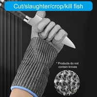 Cut Resistant Glove with Arm Protection Sleeves Level Stainless Steel Mesh Metal Glove Butchers Metal Glove for Meat Fish 2