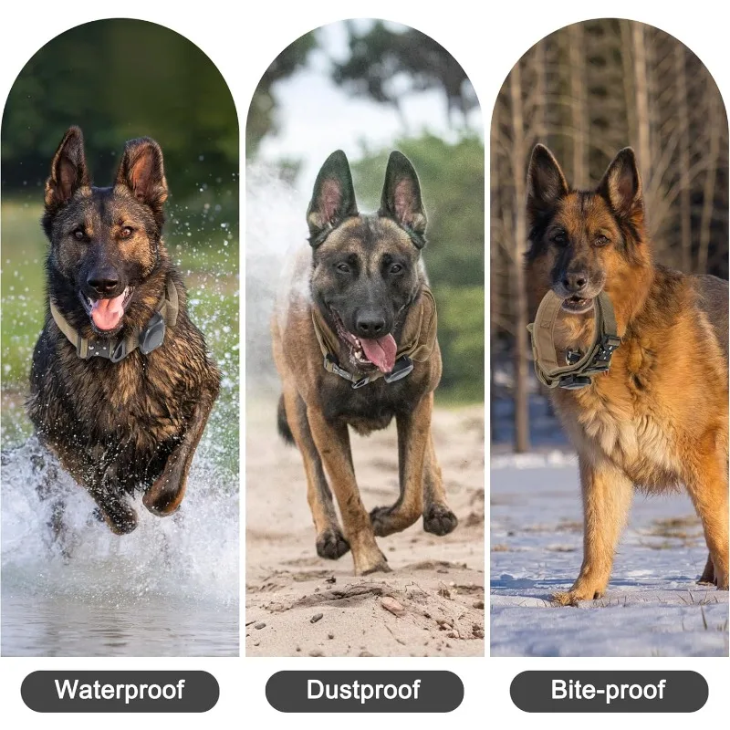 Tactical Waterproof Dog Collar 4
