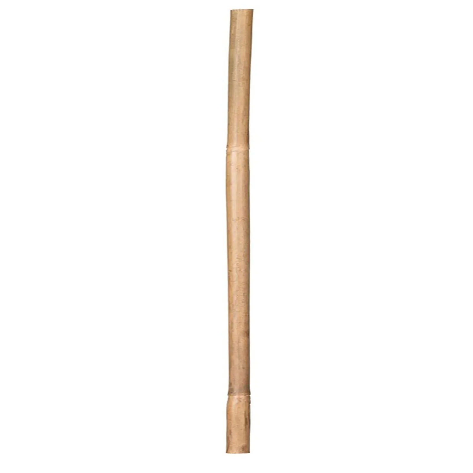 Plants Bamboo Stakes Poles 20 Pcs for Supporting Stems Vines