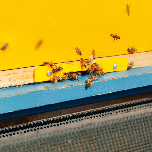 Méhkas Bejárat Reduktora Fa Méh Kaptár Reduktor A Méhészetvezérlés Szellőztetéséhez És Mézes Rablók Kiszállításához Méhészkészletek - Image 6