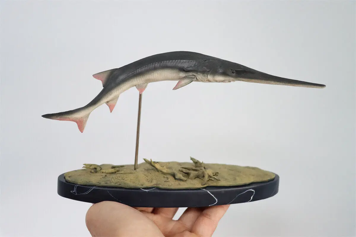 

Memory Museum 1/15 Chinese Paddlefish Statue Animal Statue Collector Decoration Realistic Psephurus gladius Painted Adult Gift