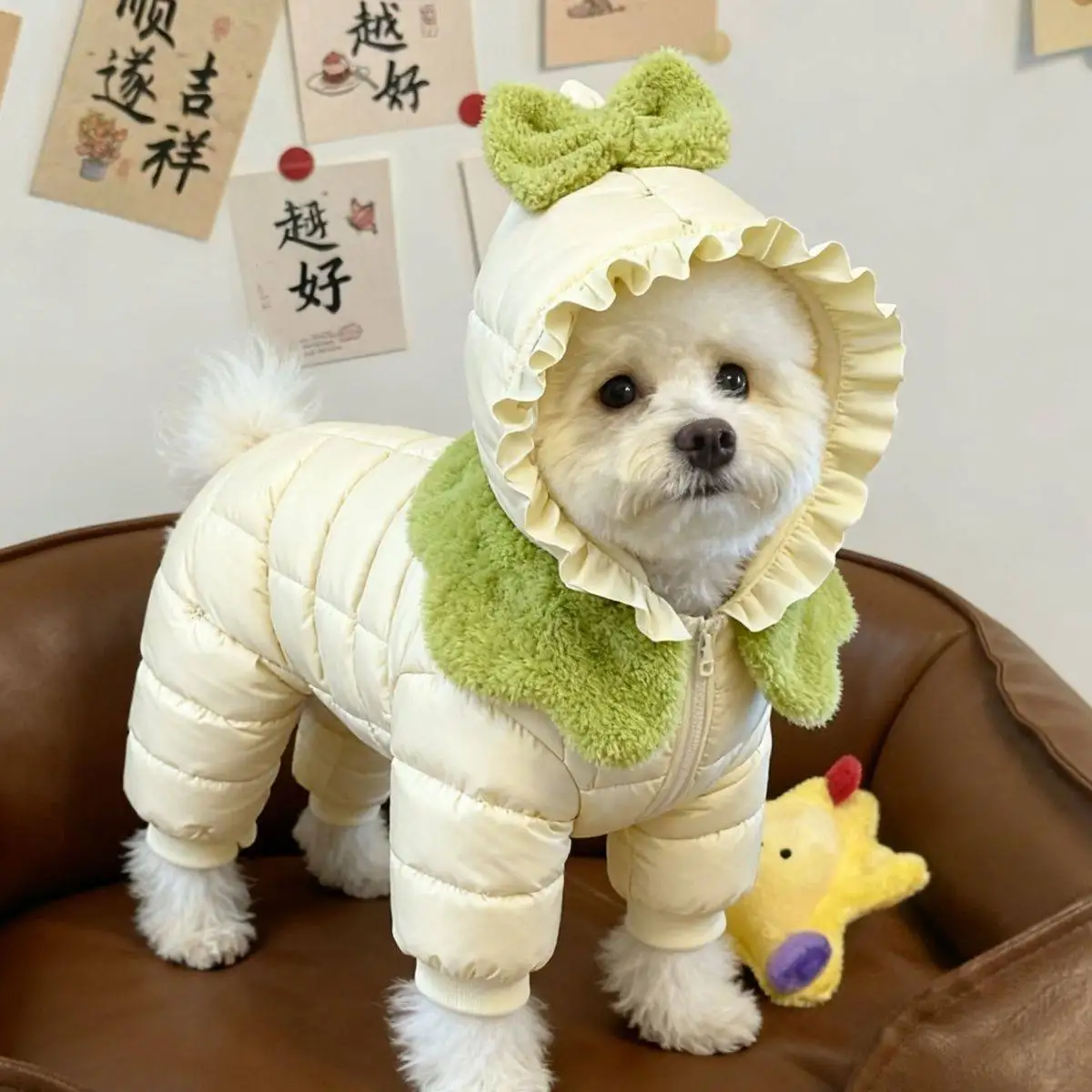 강아지 옷, 가을 겨울 따뜻한 네발옷, 곰돌이 테디보다 더 멋진 외국풍, 외출 시 보온성과 방풍 기능 유지