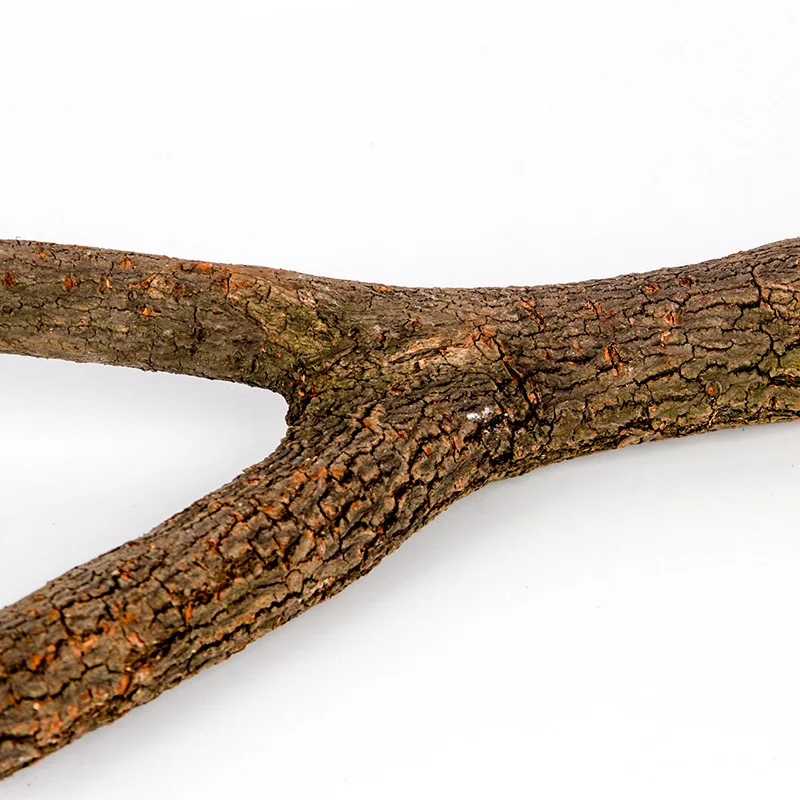 Parrot Tree wood Stand rack Perches Aves supplies cage Pet stick small animals toys Log Bifurcated bird accessories Standing
