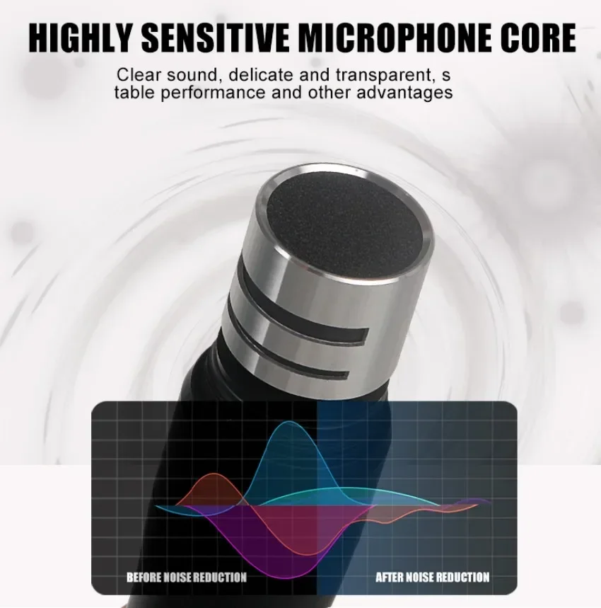 RAYHAYES UR4D Super Strong Signal Wireless Microphone Professional Dual Channel Conference Karaoke Mic Microphone