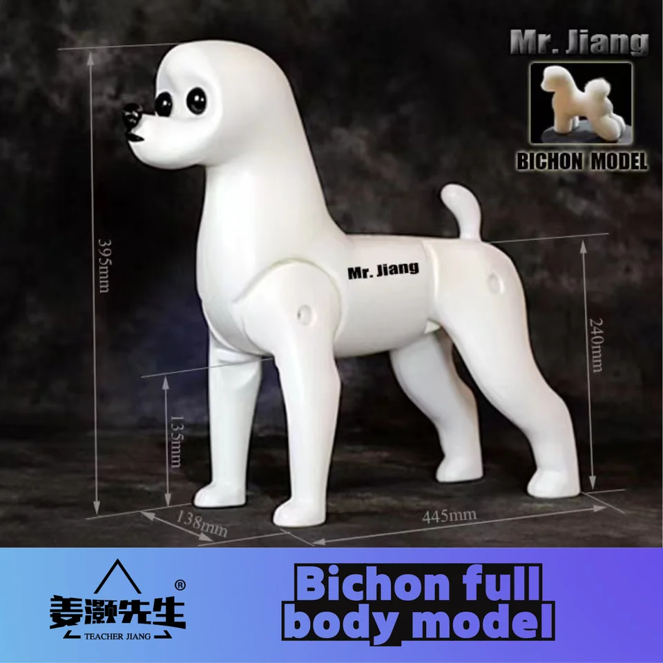 Mr. Jiang modle model Pet Teacher Beauty Modeling Practice Dog