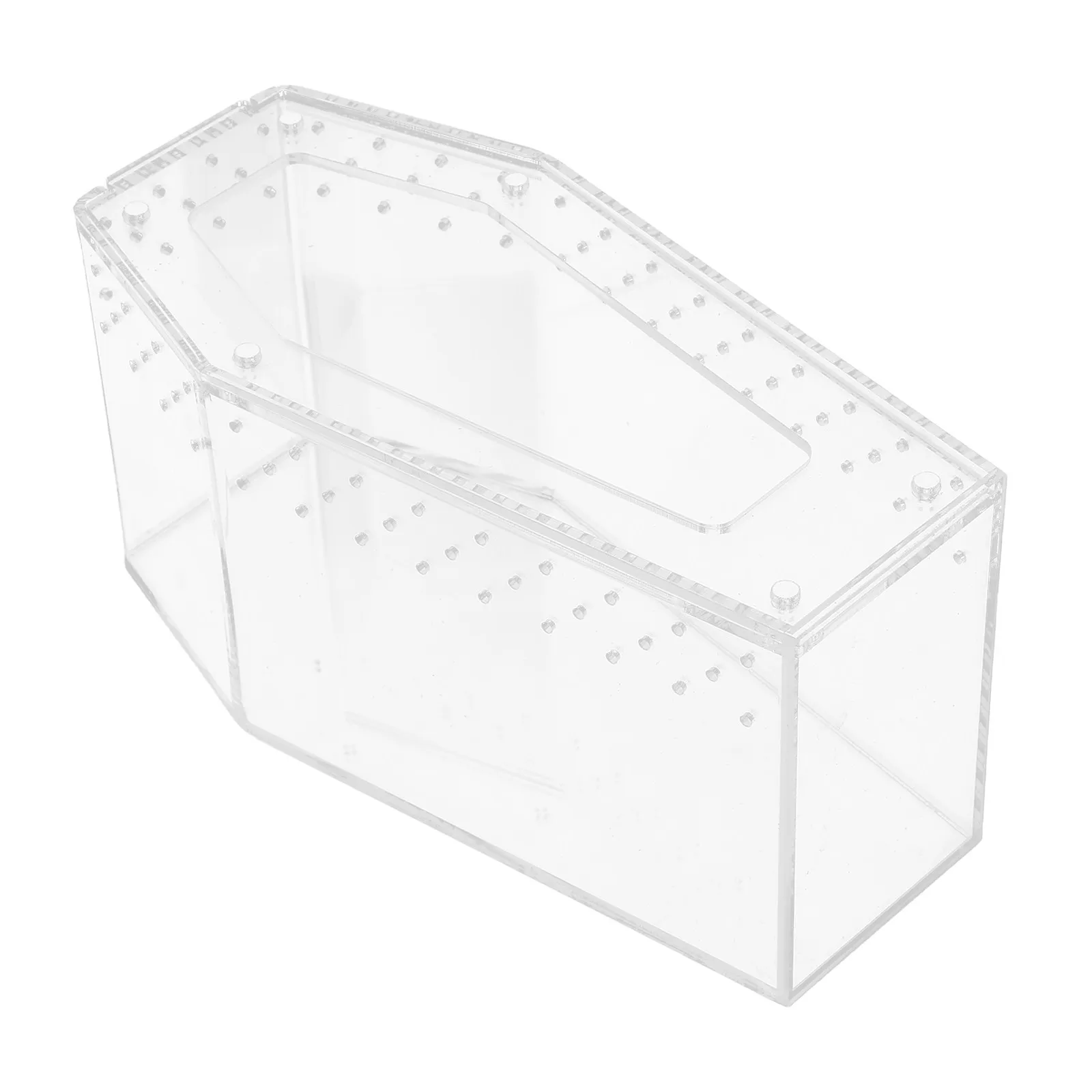 투명 애완동물 관찰용 20X10X10cm 투명 아크릴 파충류 사육탱크 (도마뱀, 개구리, 거미용 테라리움 사육 상자)