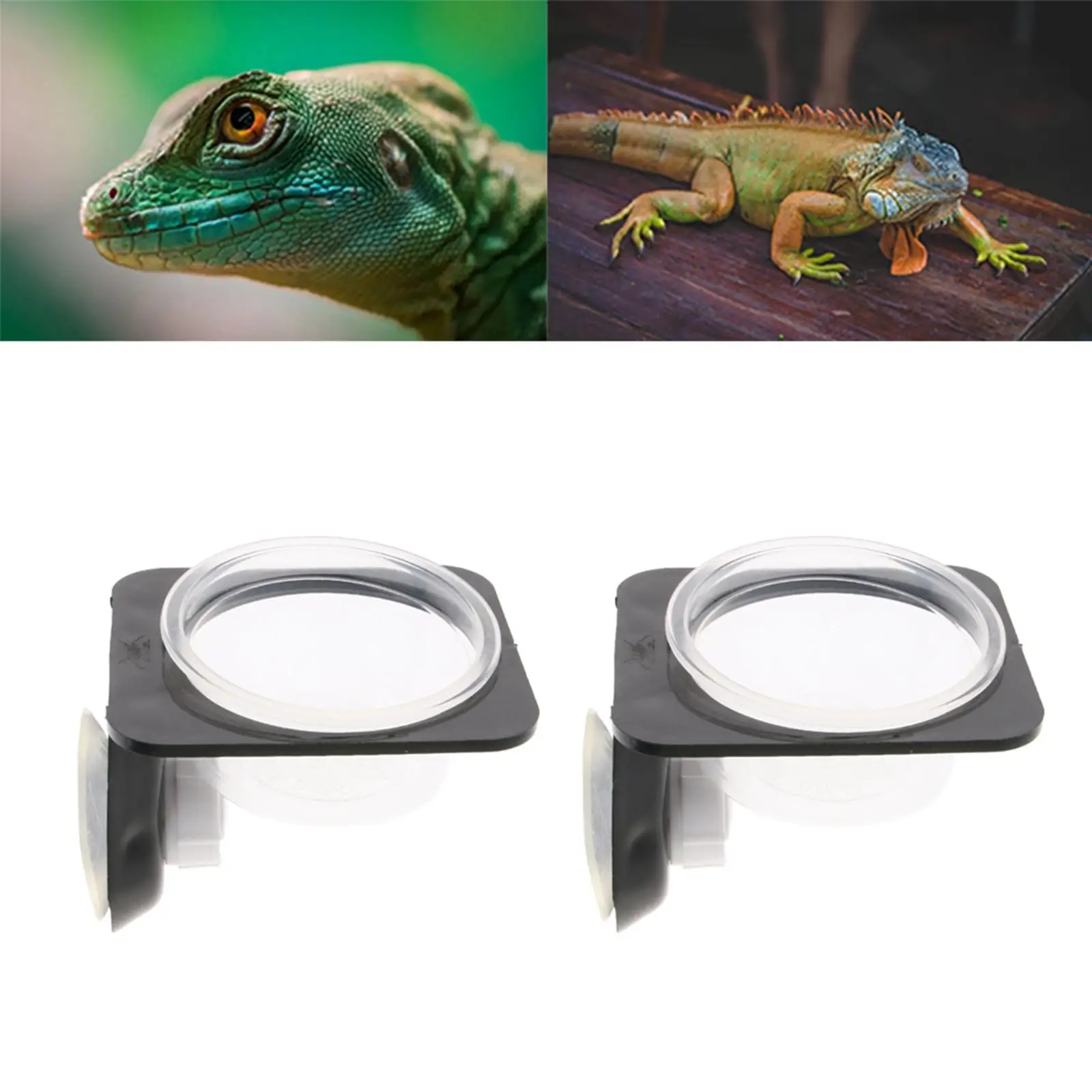 1 Pair Plastic Diameter 6cm Round Bowls for Amphibians Gecko Turtle