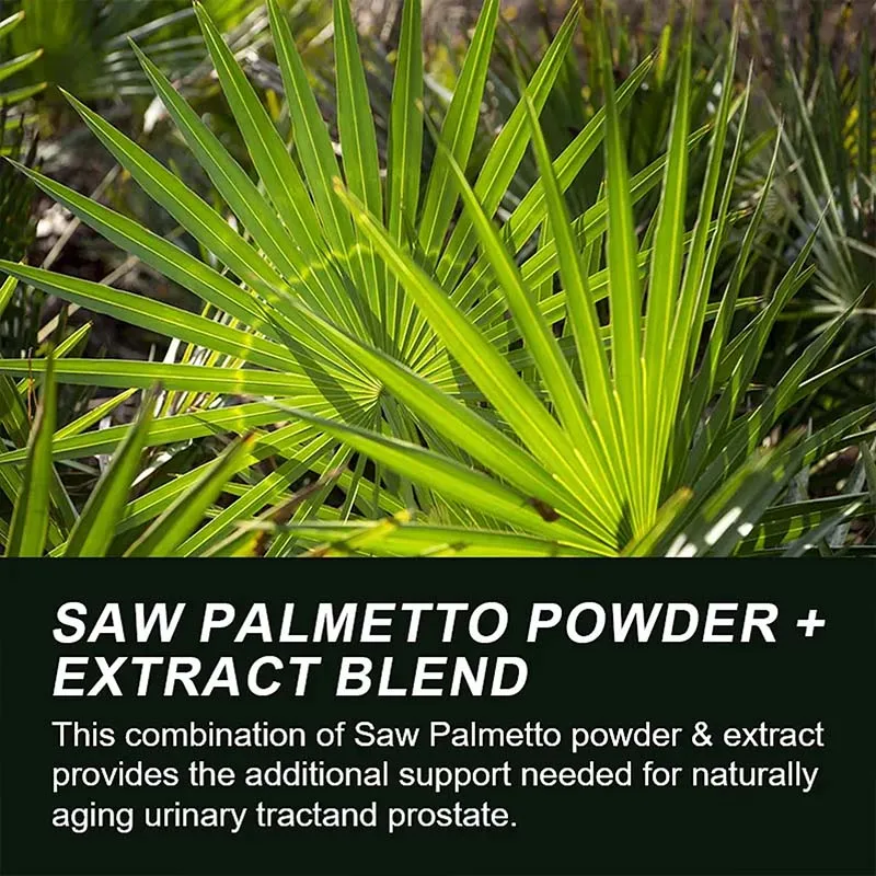Saw Palmetto-Men's Prostate , Hair Growth, Urinary Tract , Frequent Urination