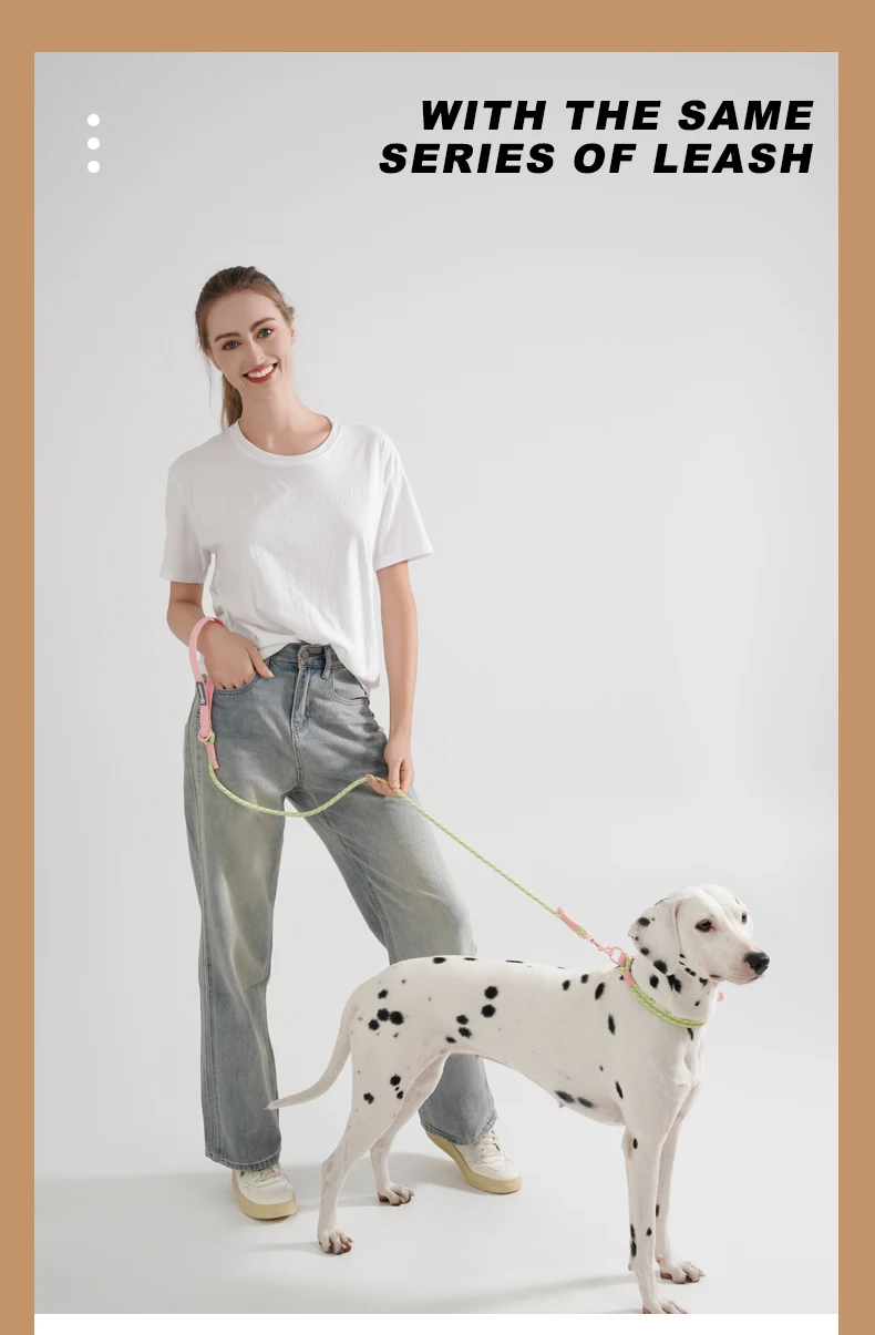 Cute style PVC Webbing Collar Leashes Dog Walking Series - PeticaDeals