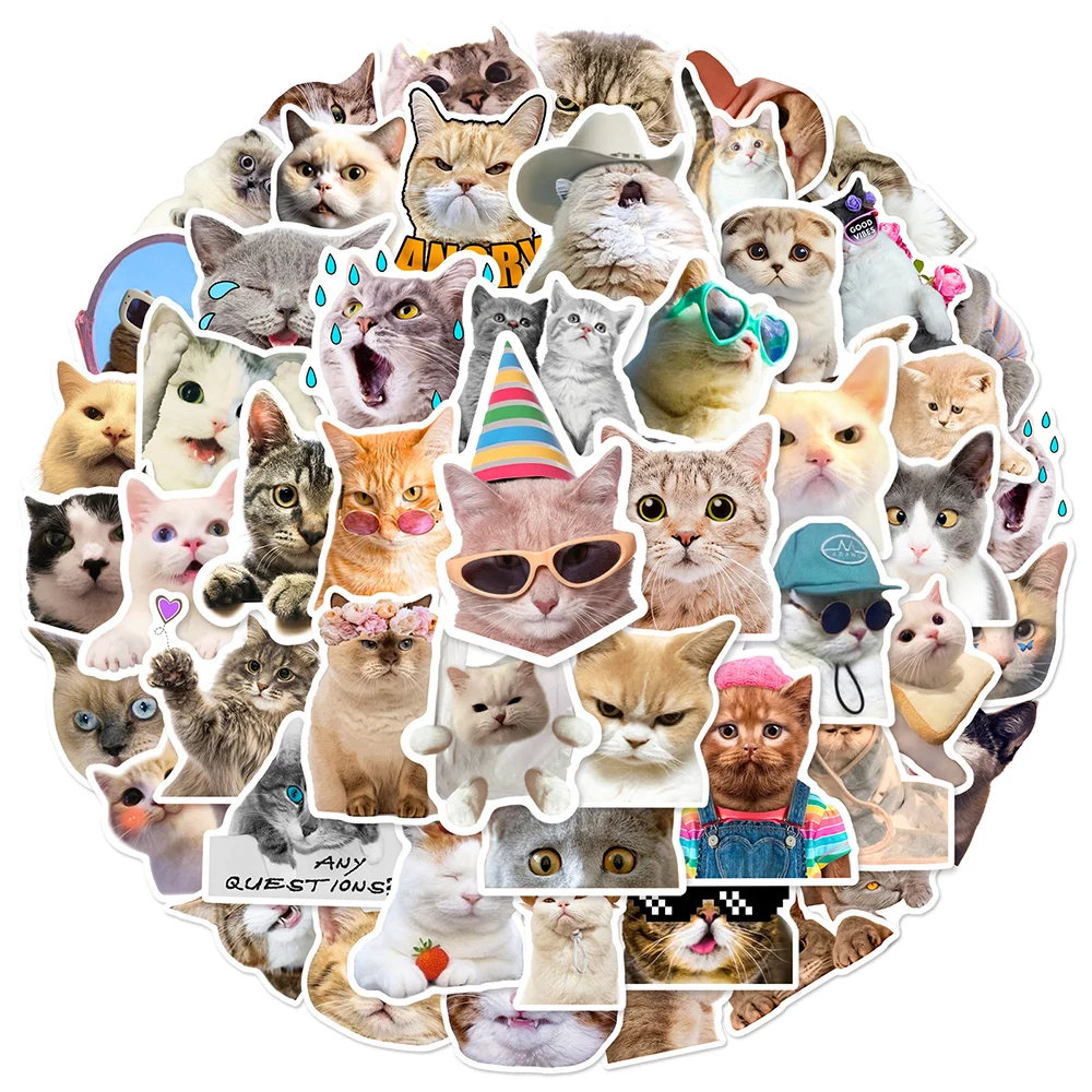 10/30/50pcs 귀여운 동물 고양이 재미 있은 새끼 고양이 MEME 낙서 스티커 스케이트 보드 기타 스크랩북 노트북 장식 스티커 데칼